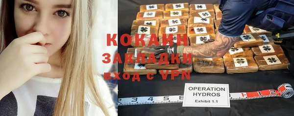 ГАЛЛЮЦИНОГЕННЫЕ ГРИБЫ Алексин