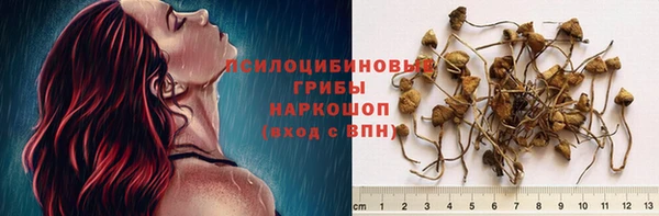 ГАЛЛЮЦИНОГЕННЫЕ ГРИБЫ Алексин