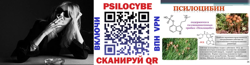 Псилоцибиновые грибы Magic Shrooms  Далматово 